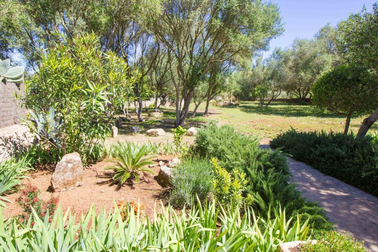 Preciosa Rustica Con A/c Y Piscina Exclusiva Algaida (Mallorca)